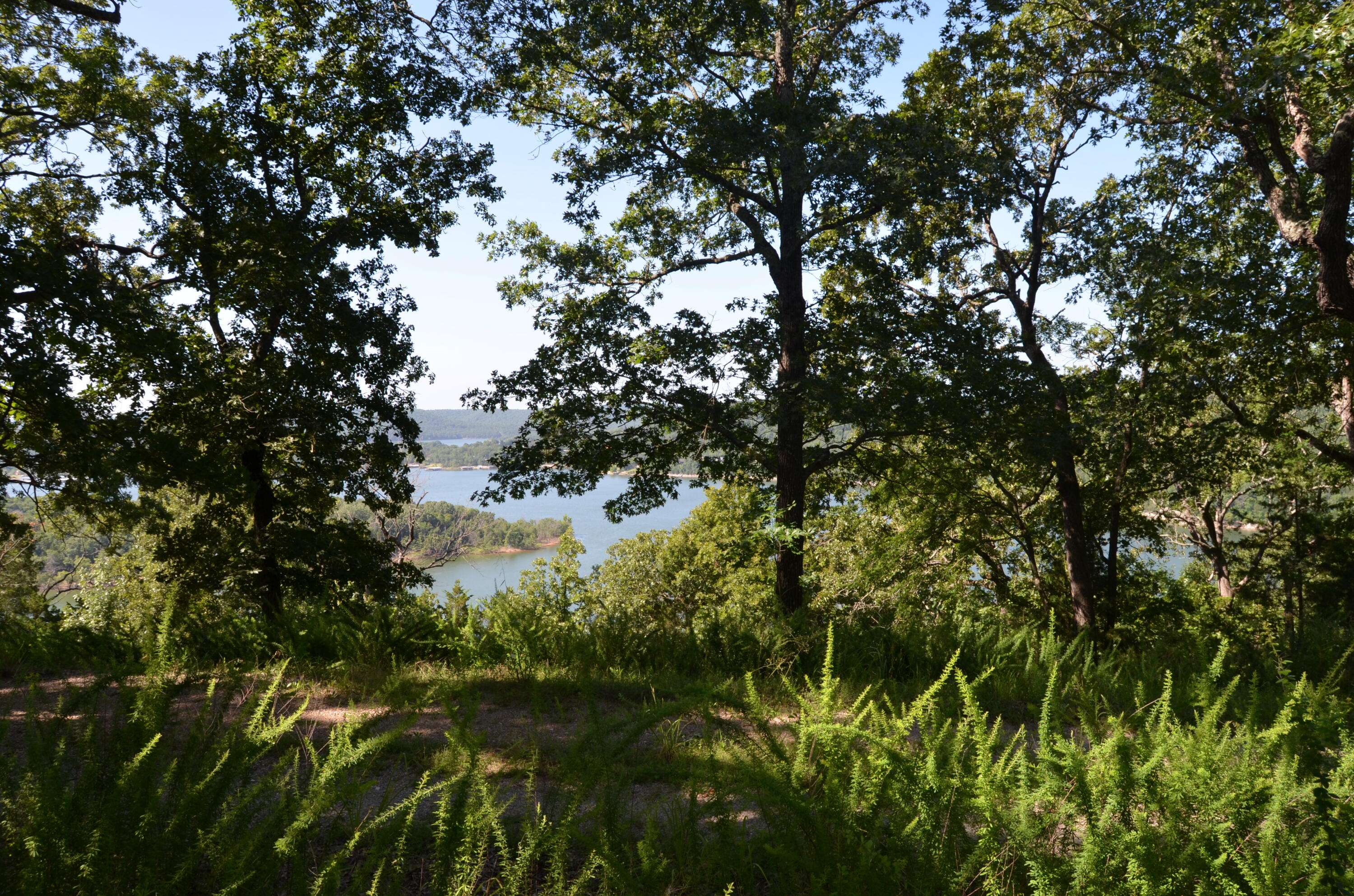 Galena, MO 65656,Lot 10 Cliffside Drive