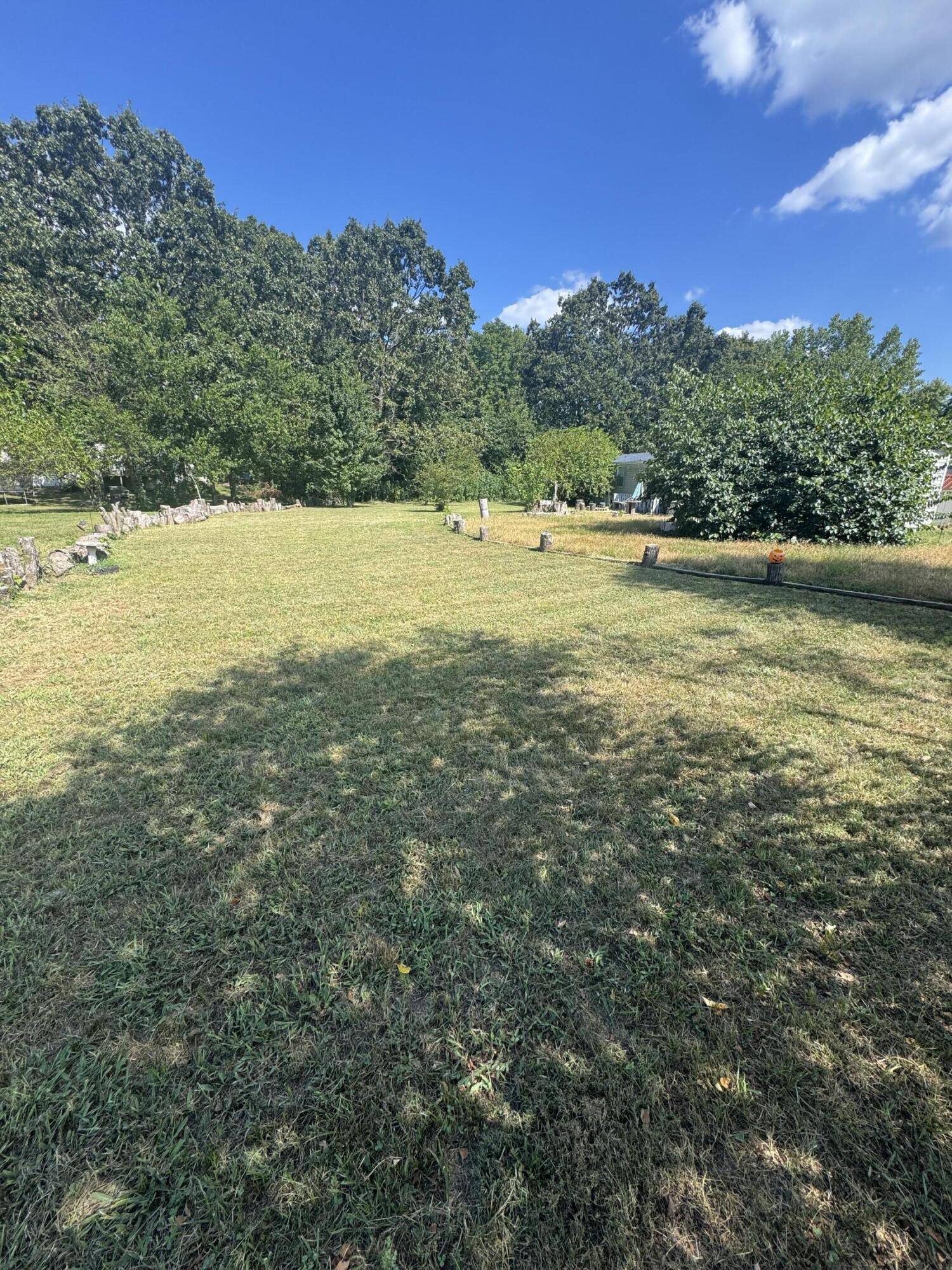 Mountain View, MO 65548,1211 Stub Street