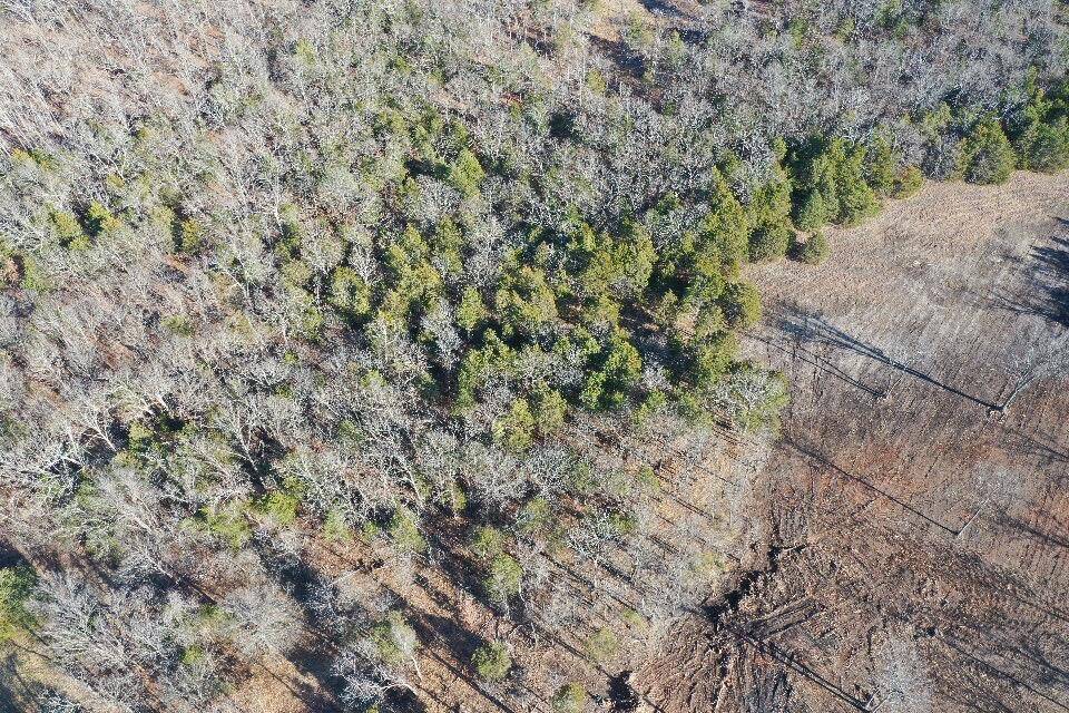 Louisburg, MO 65685,000 65 Hwy
