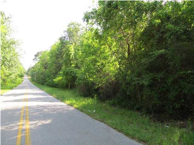 Paxton, FL 32567,10 AC Adams Street