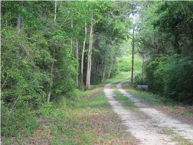 Paxton, FL 32567,10 AC Adams Street