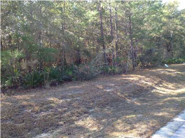 Freeport, FL 32439,LOT 66 J Hunter''s Way