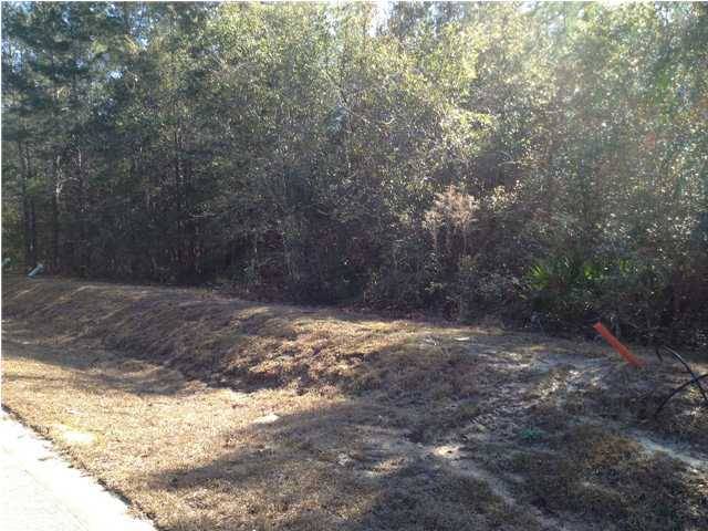 Freeport, FL 32439,LOT 65 J Hunter''s Way