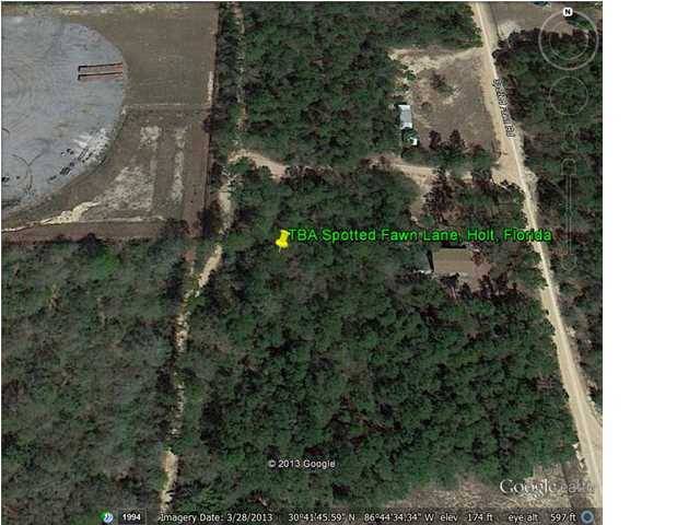 Holt, FL 32564,TBA Spotted Fawn Lane