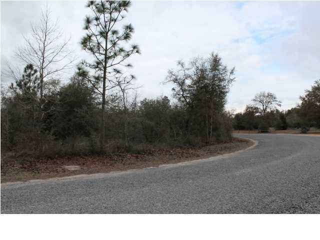 Crestview, FL 32539,3 Lots Painter Branch Road