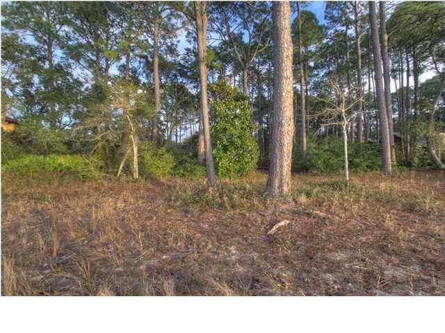 Santa Rosa Beach, FL 32459,F6 Driftwood Drive