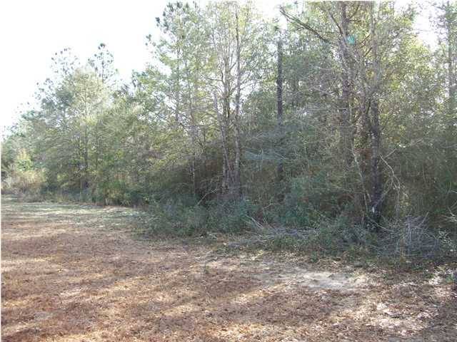 Holt, FL 32564,XX Cedar Springs Farm Road