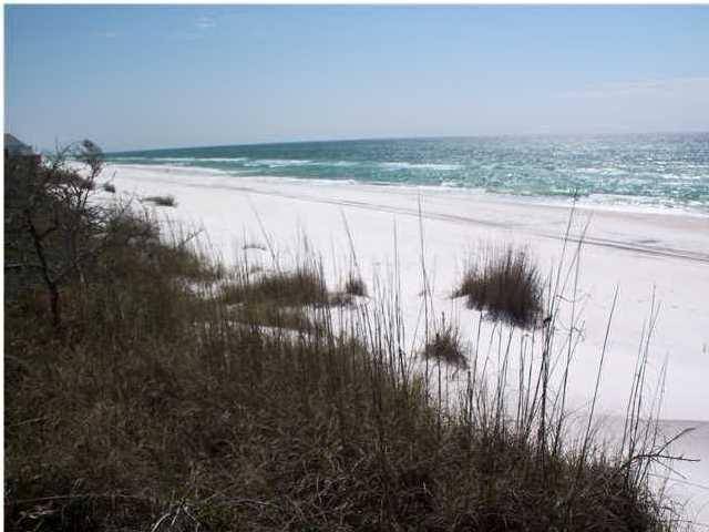 Inlet Beach, FL 32461,2 Pompano