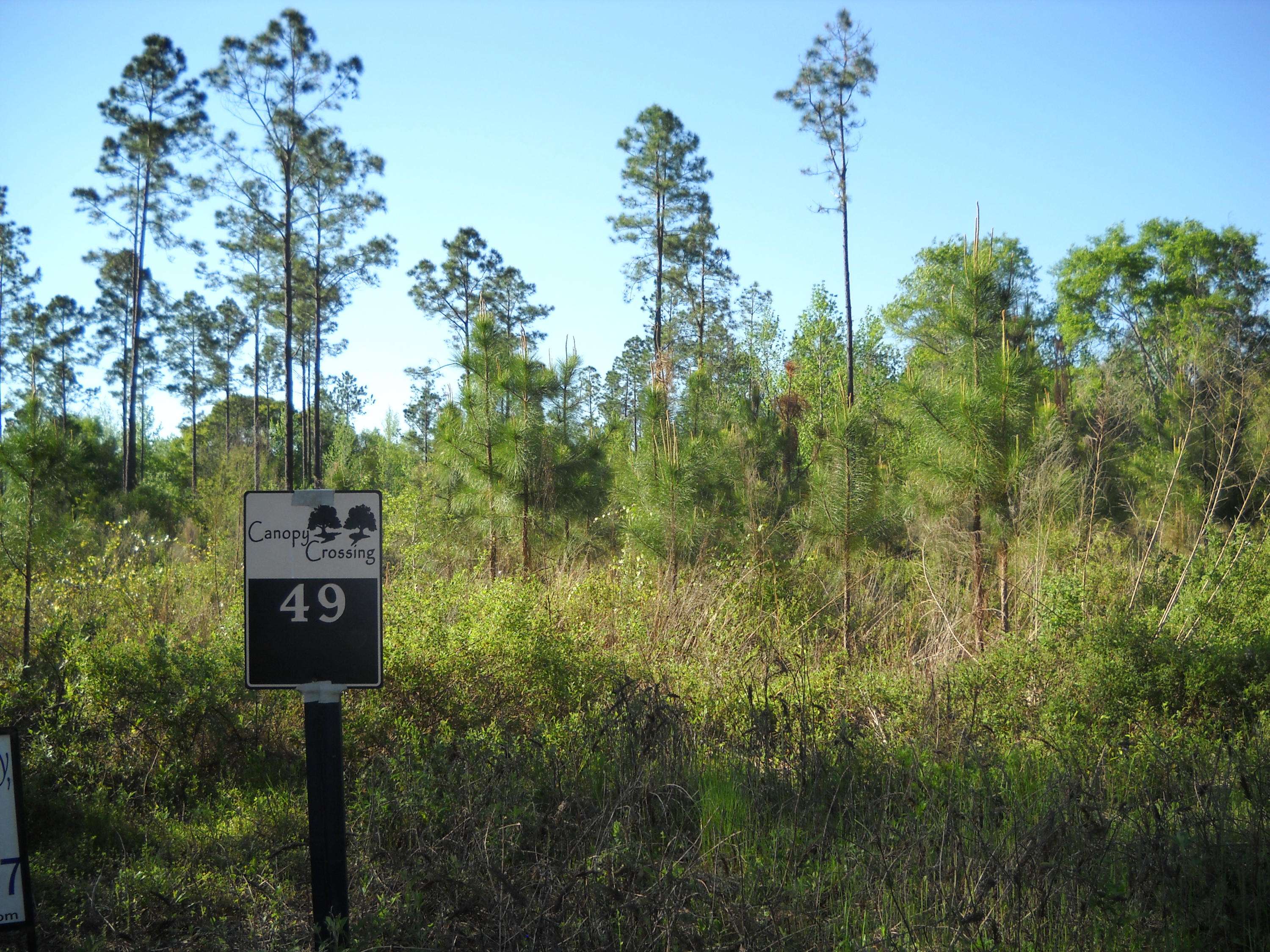 Bonifay, FL 32425,49 Canopy Oak Boulevard