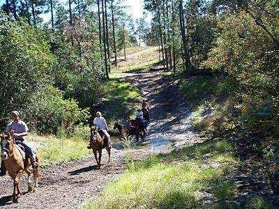 Laurel Hill, FL 32567,F-2 Planters Drive 18.622 acres