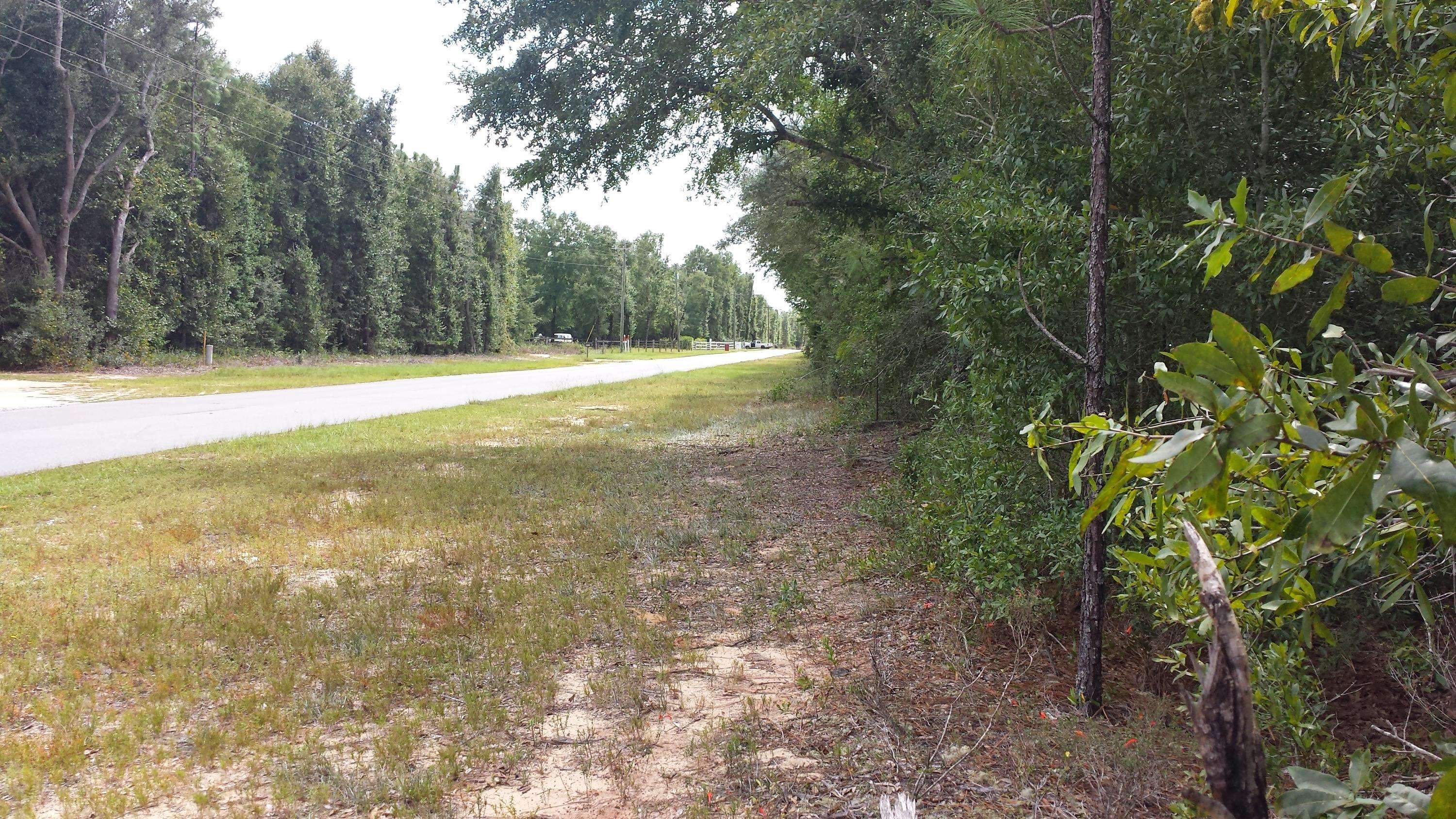 Holt, FL 32564,1.27 AC Wilkerson Bluff Road