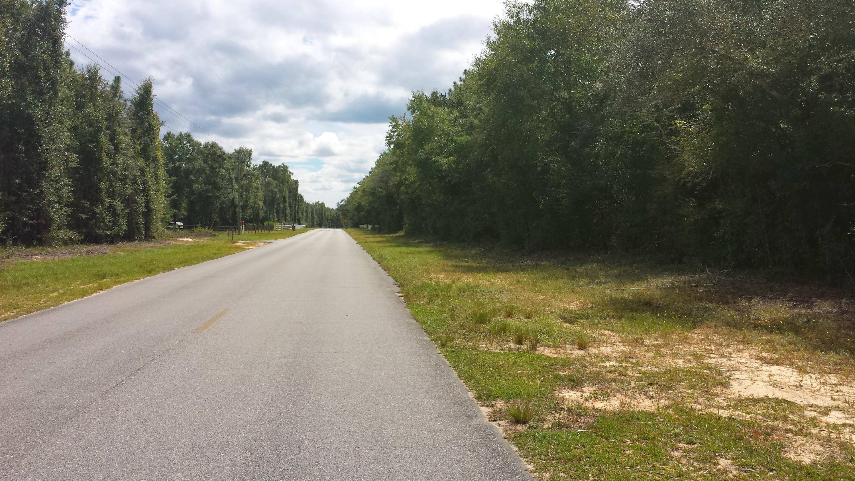 Holt, FL 32564,1.27 AC Wilkerson Bluff Road