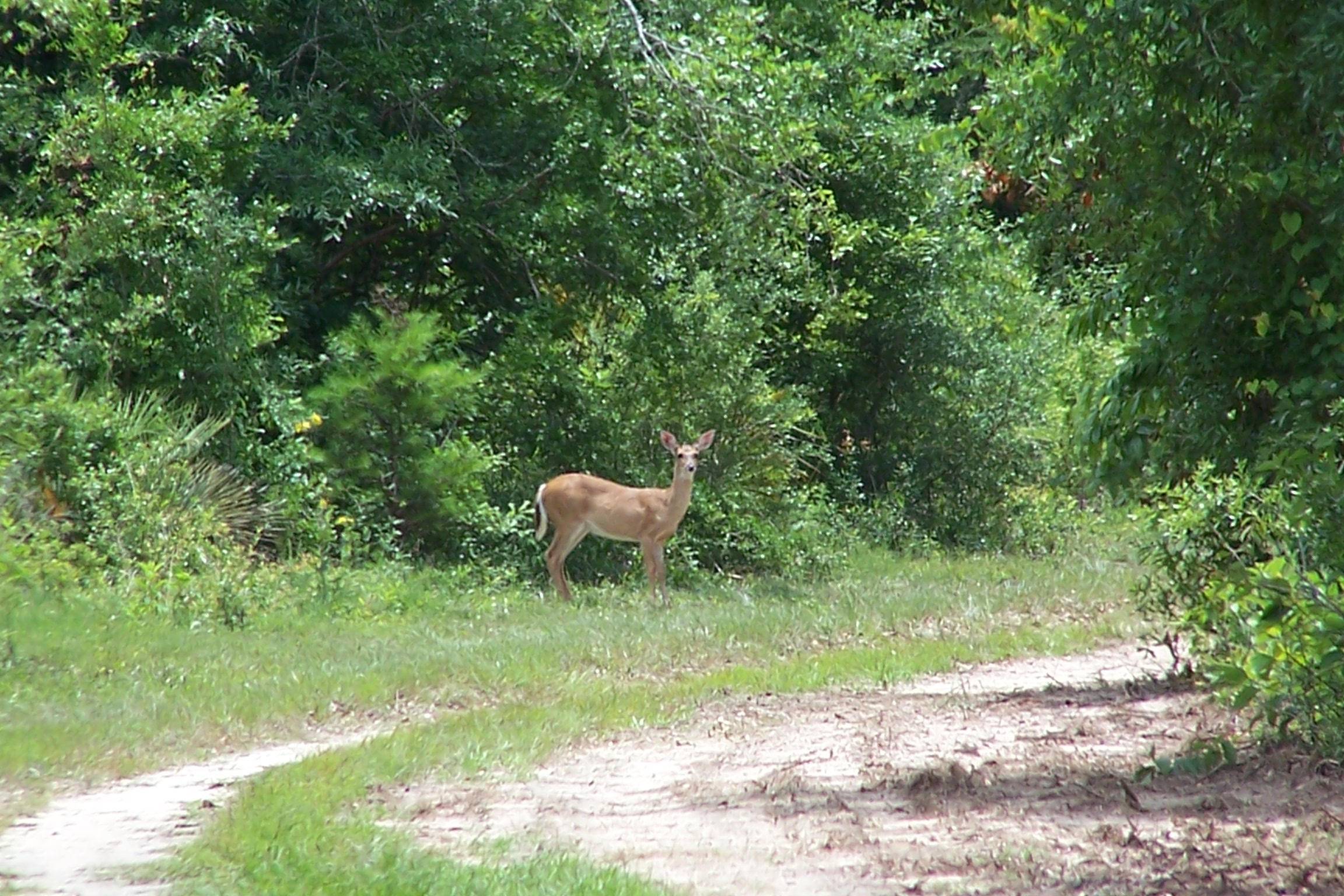 Baker, FL 32531,00 Old River Road