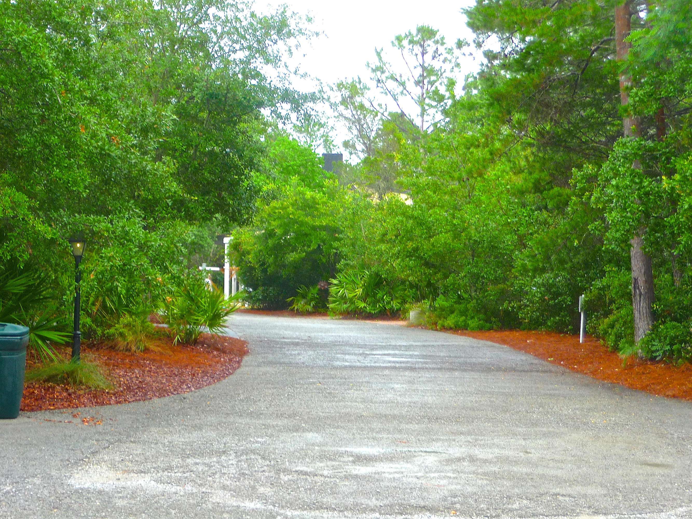 Santa Rosa Beach, FL 32459,xxx Lot 31 Hammock Lane