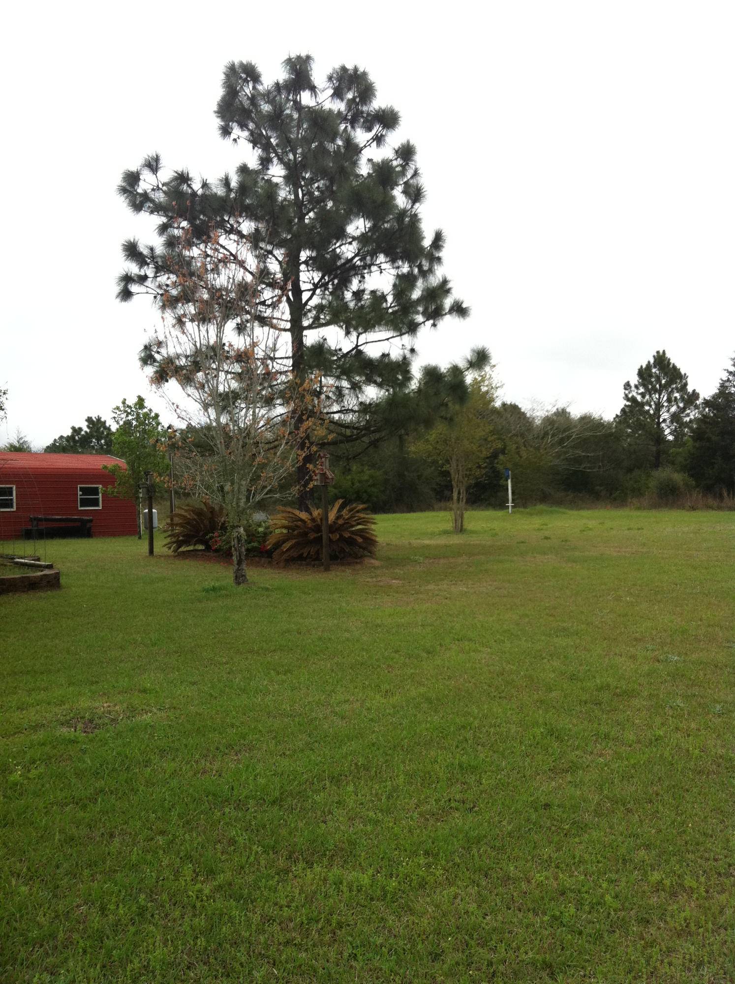 Holt, FL 32564,4595 Durbin Lane