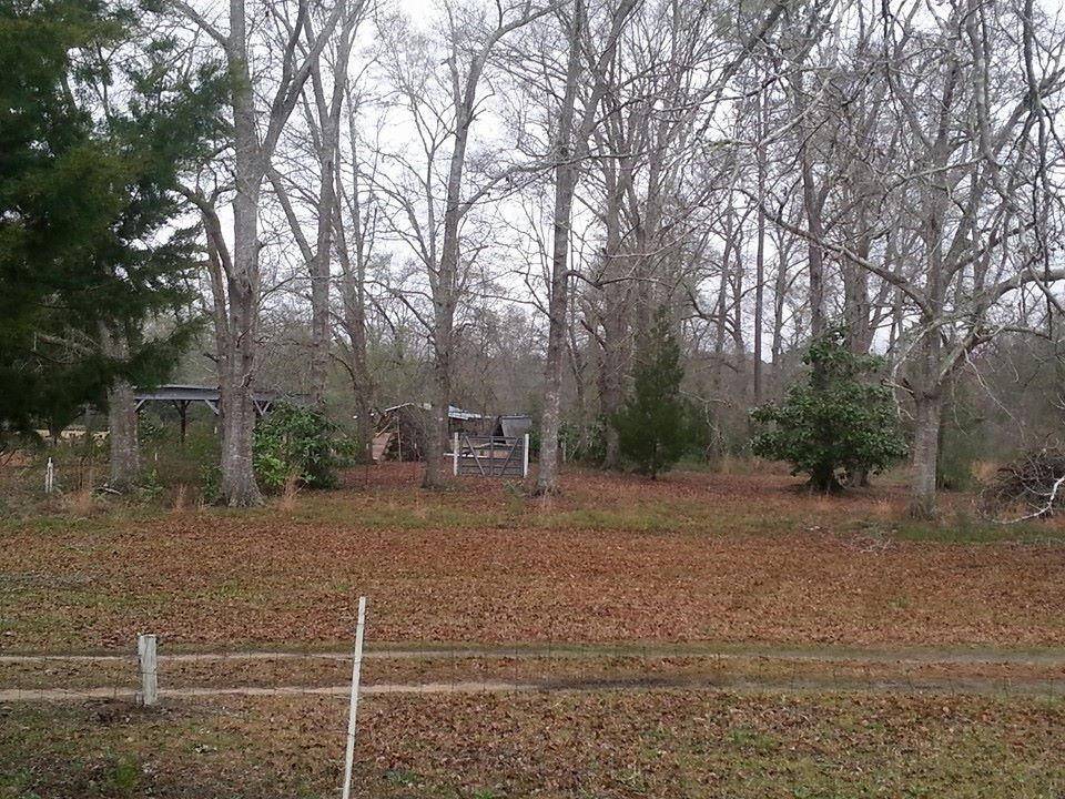 Chipley, FL 32428,992 JOINER Road