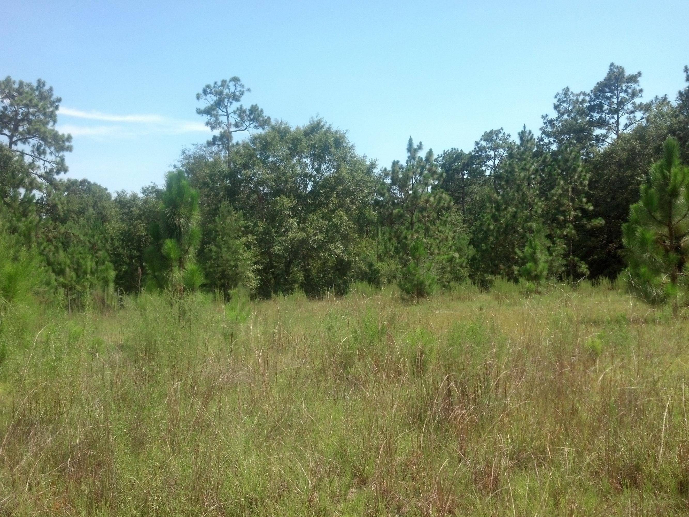 Westville, FL 32464,1692 SCOTT Road