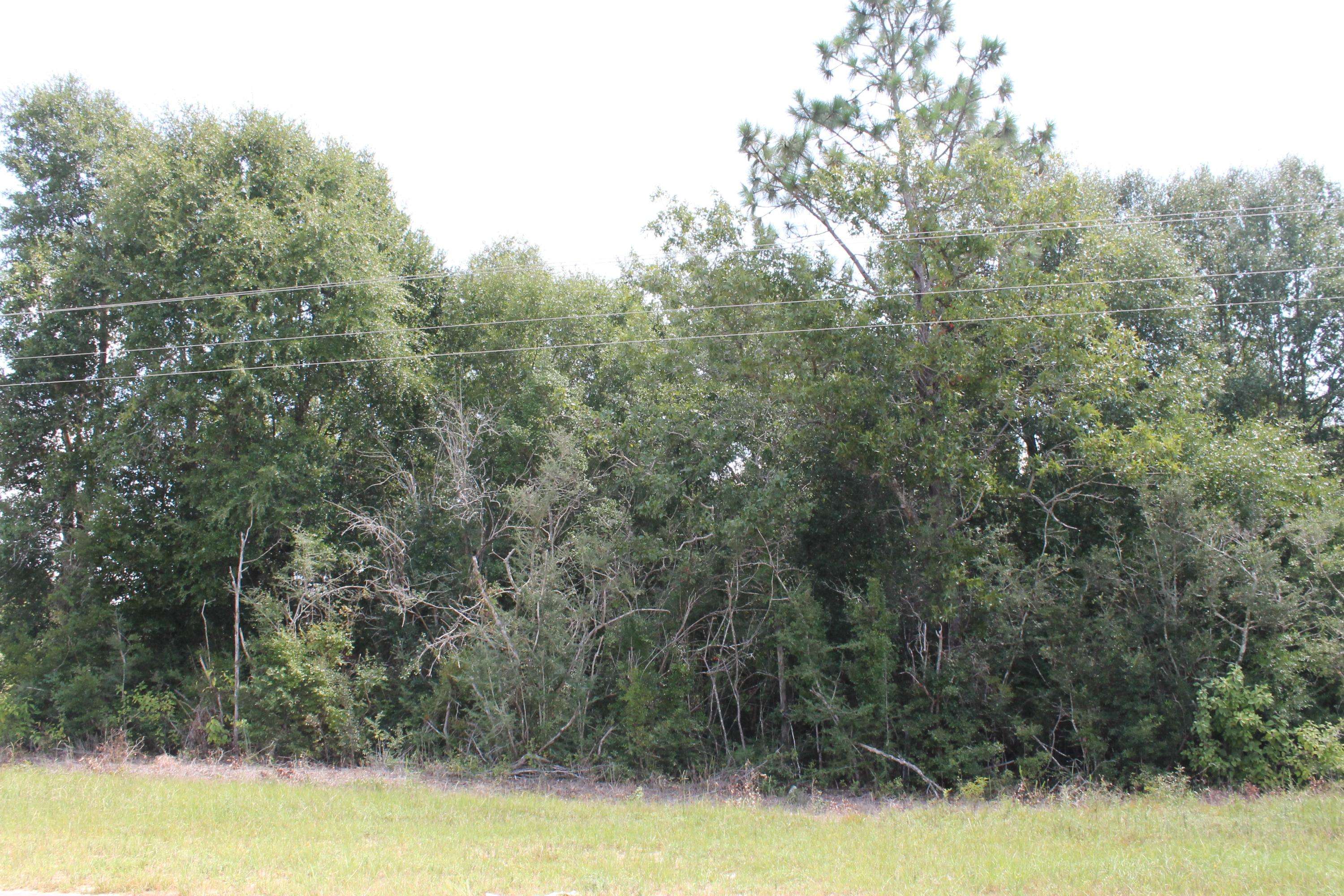 Holt, FL 32564,1 AC Wilkerson Bluff Parcel B Road