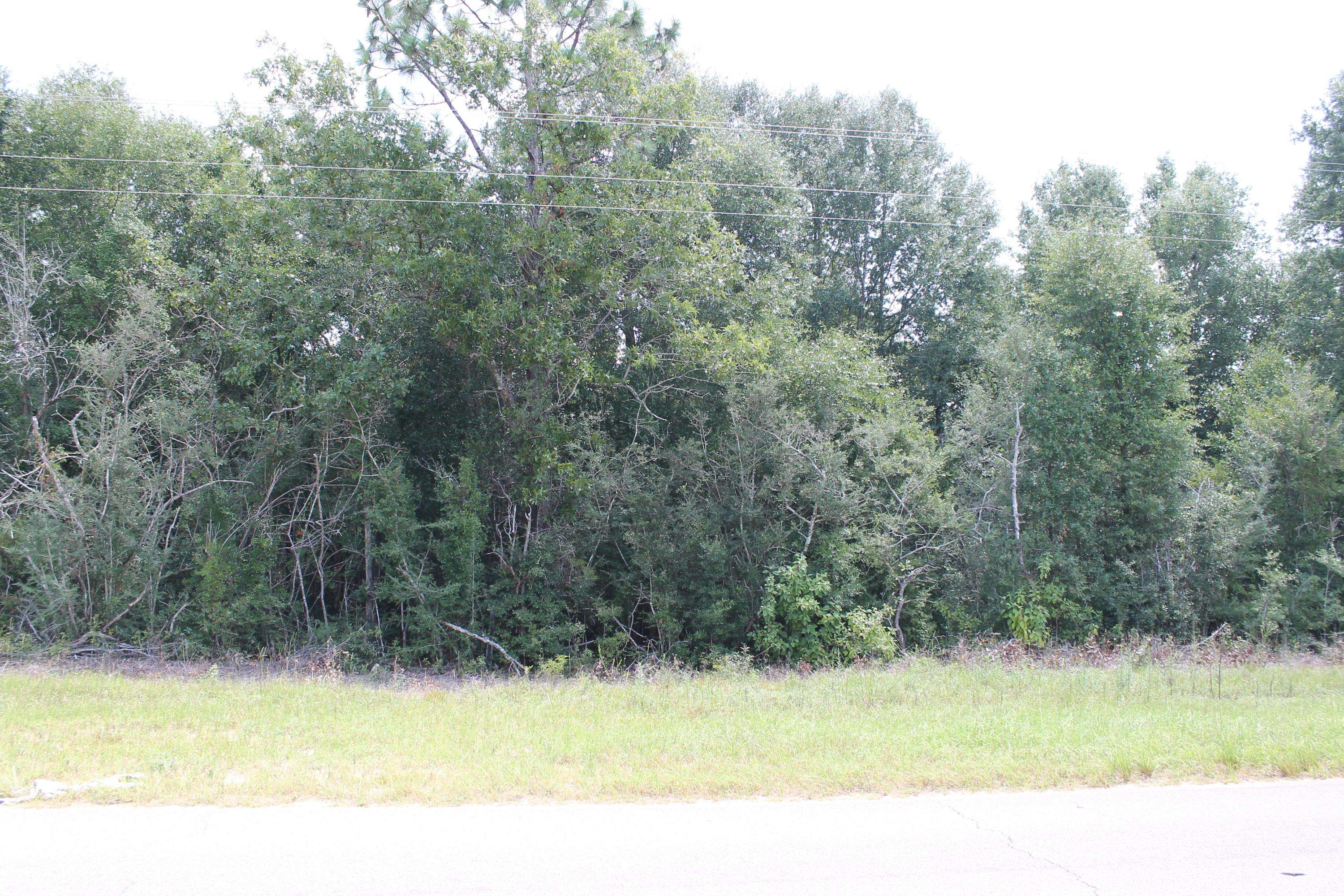 Holt, FL 32564,1 AC Wilkerson Bluff Parcel B Road