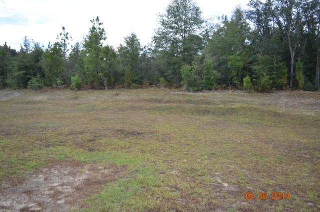 Crestview, FL 32536,2170 Lake Silver Rd