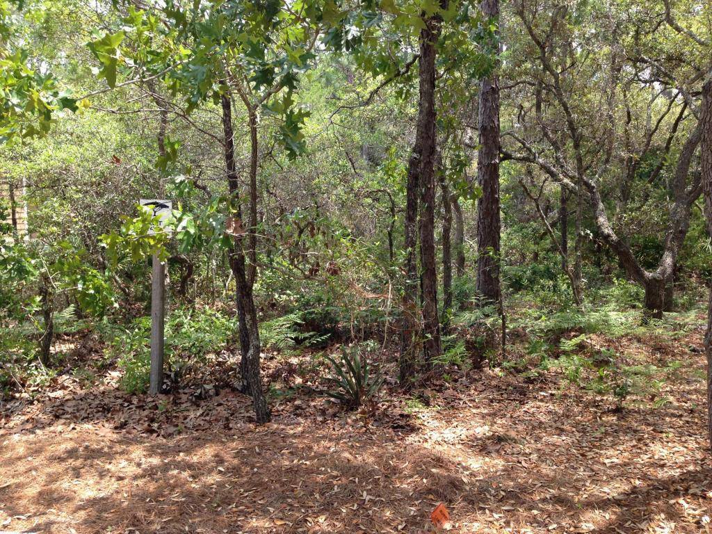 Santa Rosa Beach, FL 32459,44 Lot Bosk Lane