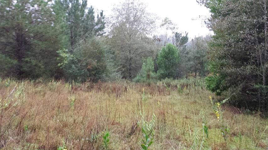 Defuniak Springs, FL 32433,6101 N US-331