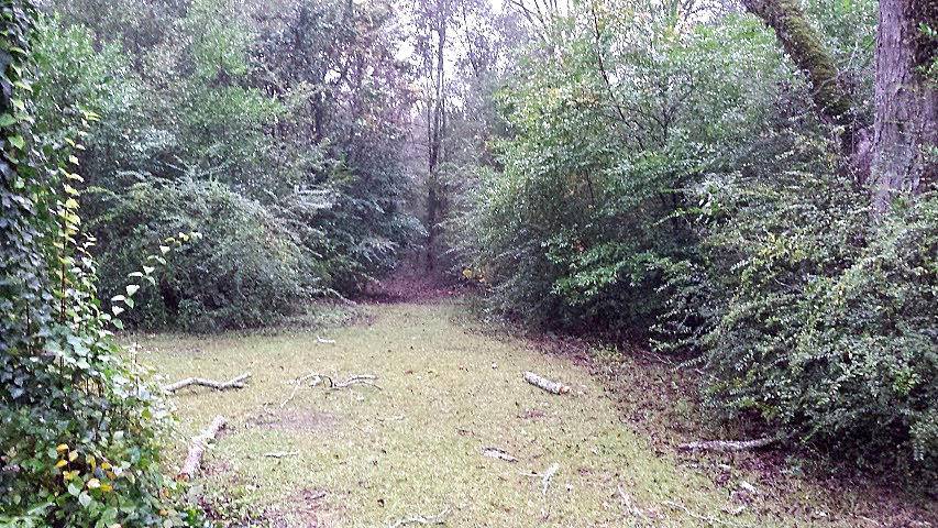 Defuniak Springs, FL 32433,6101 N US-331