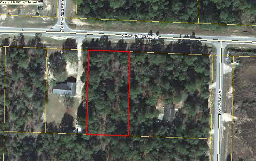Defuniak Springs, FL 32435,XXXX Coy Burgess Loop
