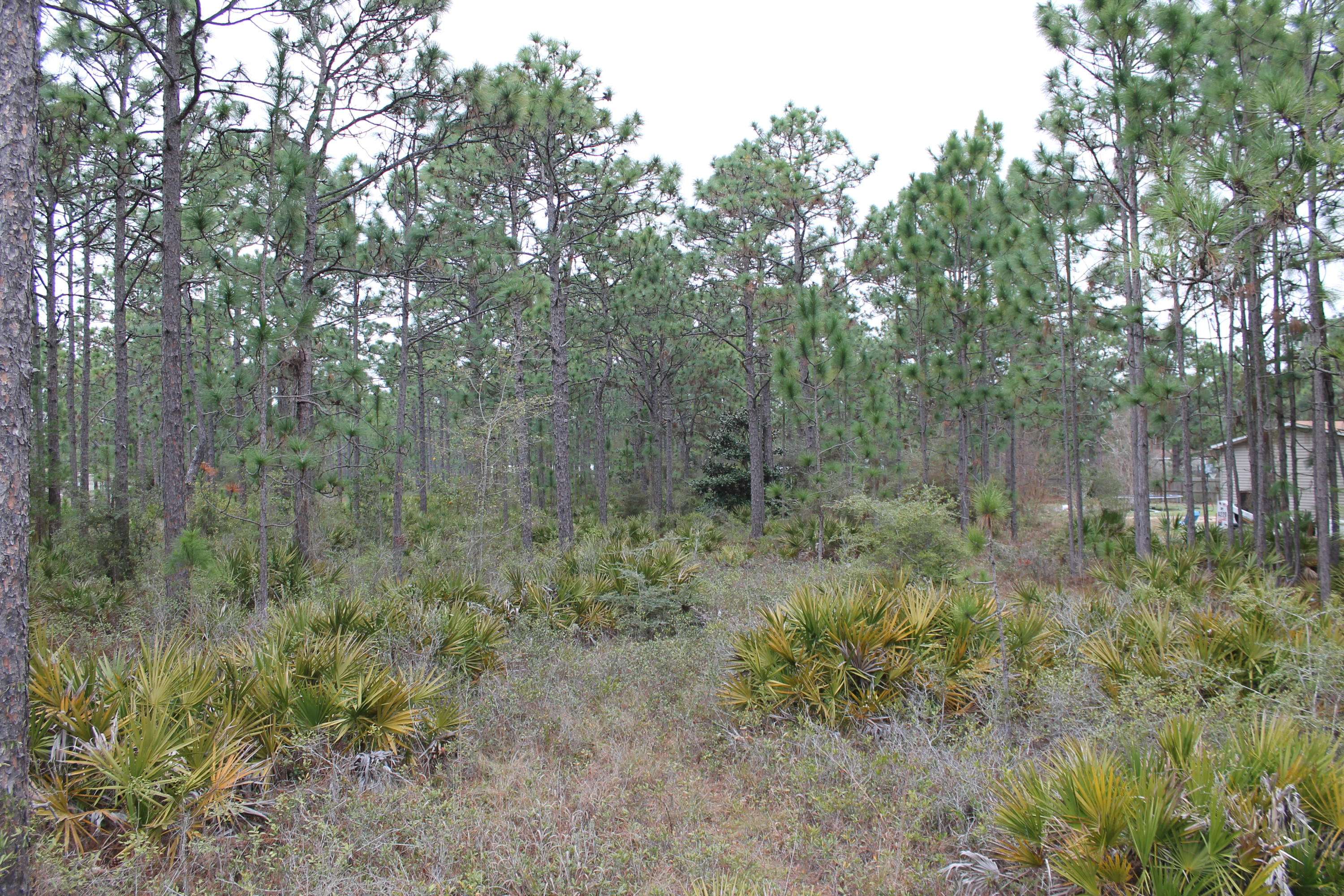 Navarre, FL 32566,1.13 AC XXX Timber Lane