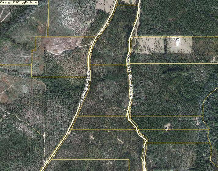 Paxton, FL 32538,Lot B1A Planters Drive North