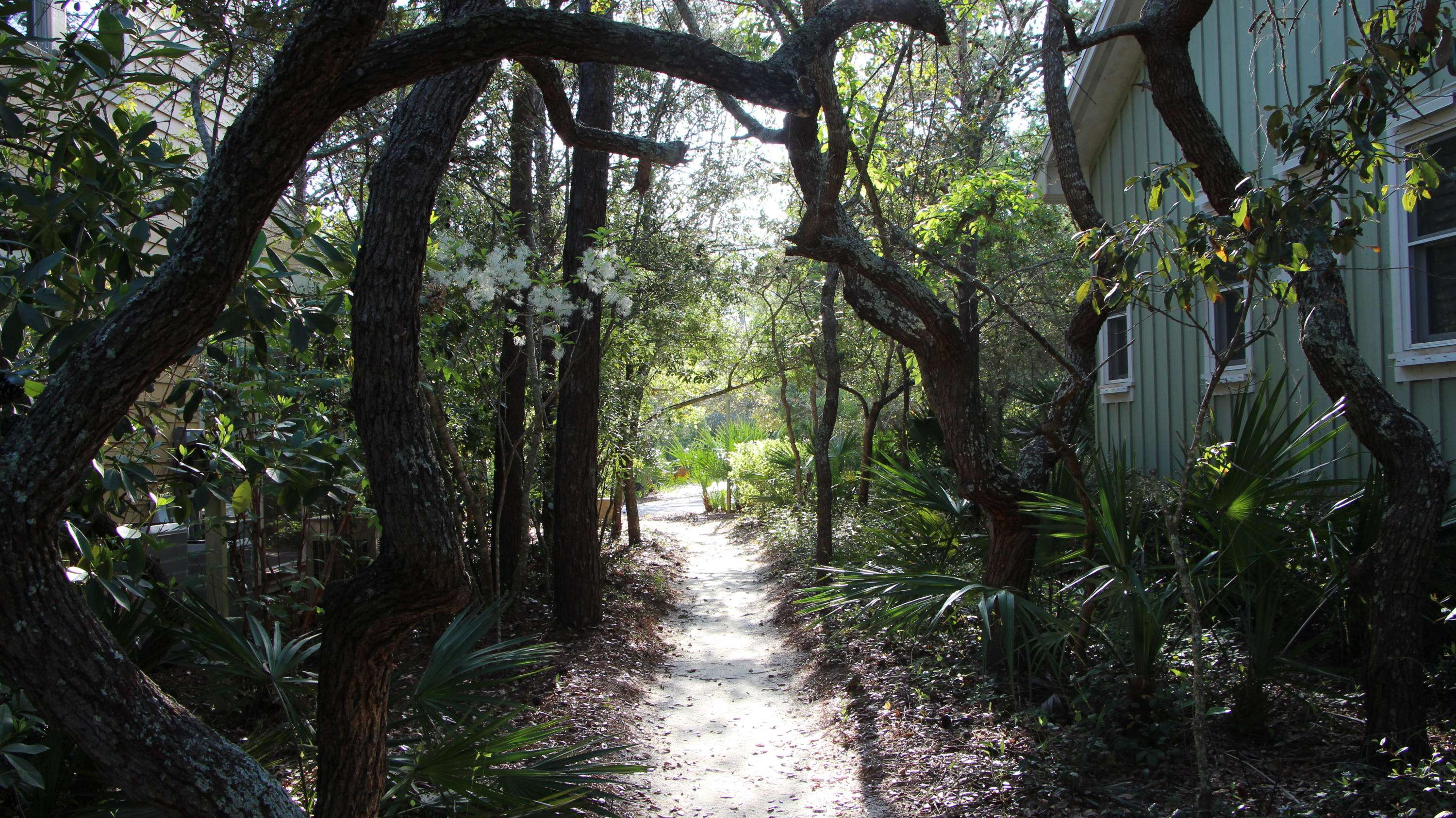 Santa Rosa Beach, FL 32459,304 Wilderness Way