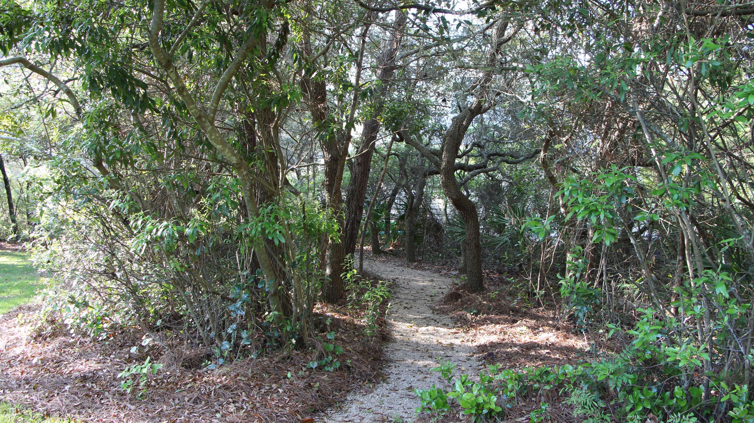 Santa Rosa Beach, FL 32459,304 Wilderness Way