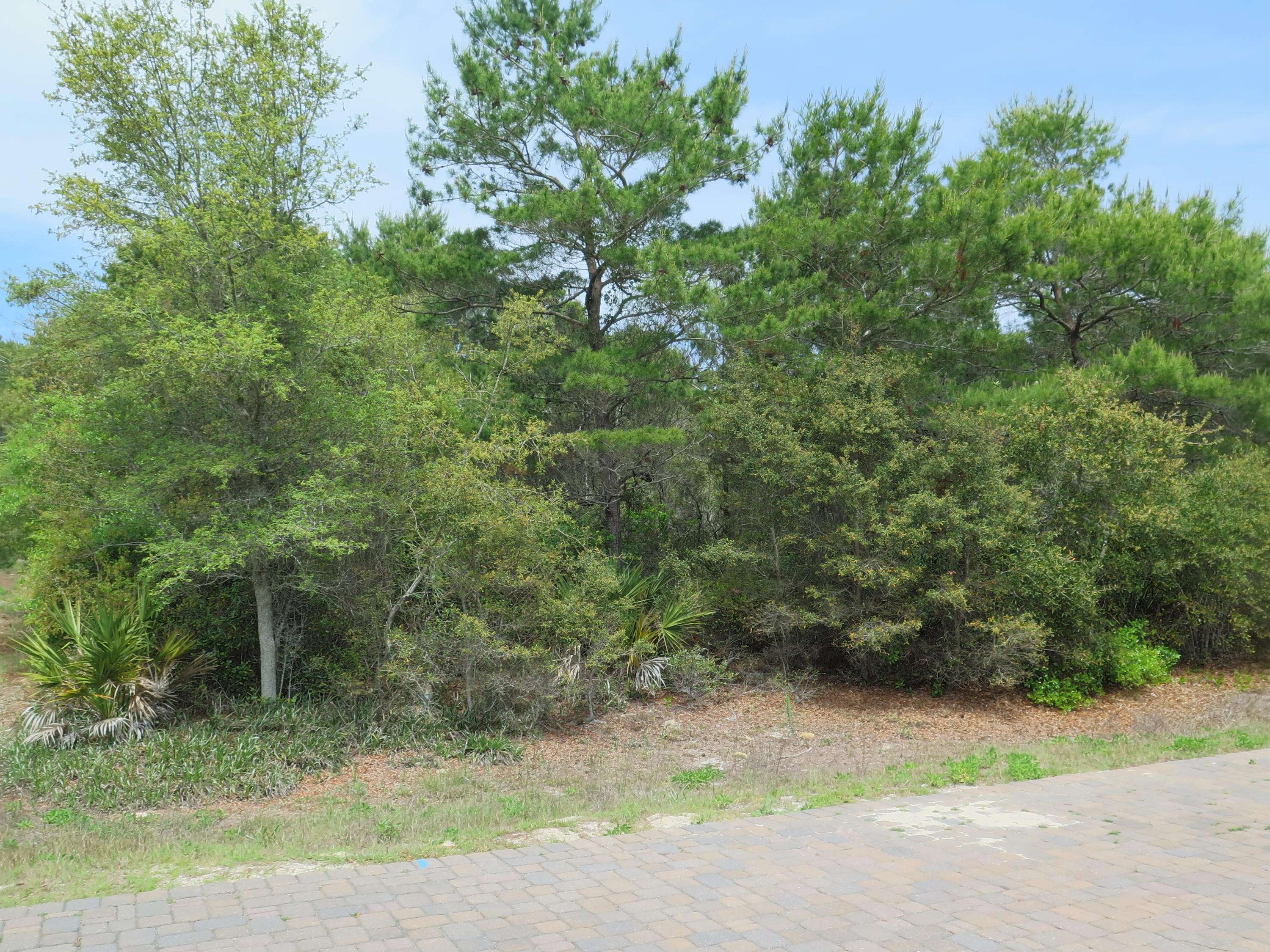 Inlet Beach, FL 32461,Lot 3 Walton Rose Lane