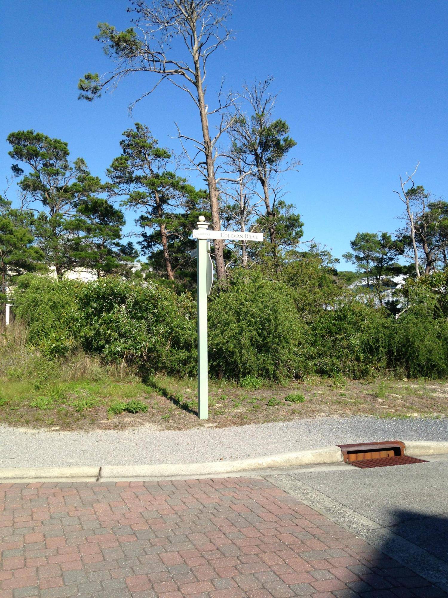 Santa Rosa Beach, FL 32459,Lot 51 Coleman Drive