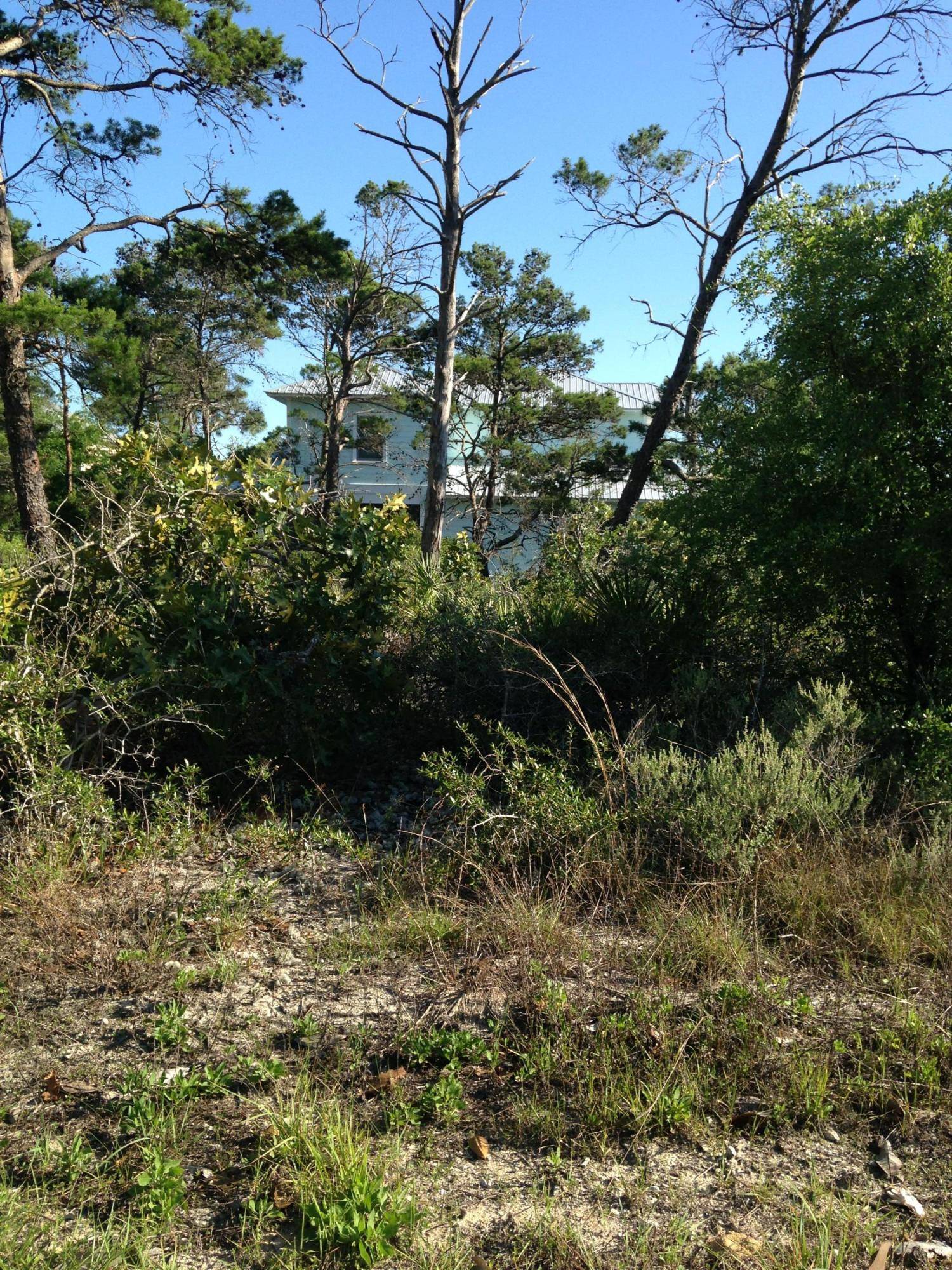 Santa Rosa Beach, FL 32459,Lot 51 Coleman Drive