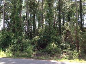 Point Washington, FL 32459,Lot 8 W Mitchell Avenue