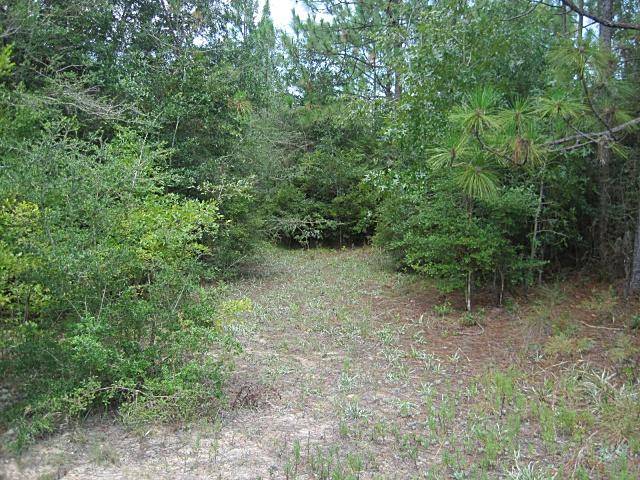 Holt, FL 32564,000 Cedar Springs Farm Road