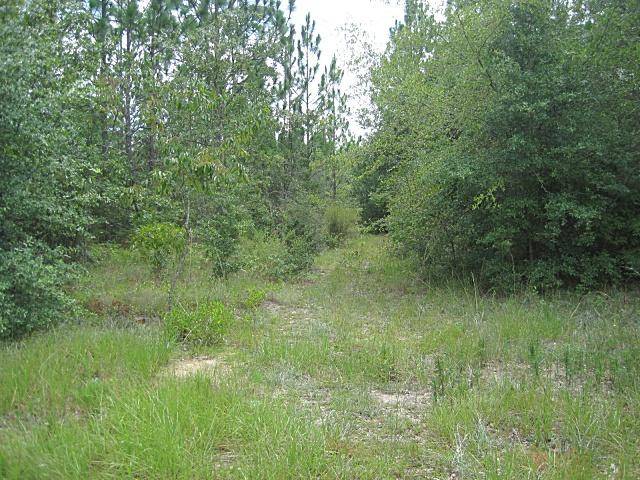 Holt, FL 32564,000 Cedar Springs Farm Road