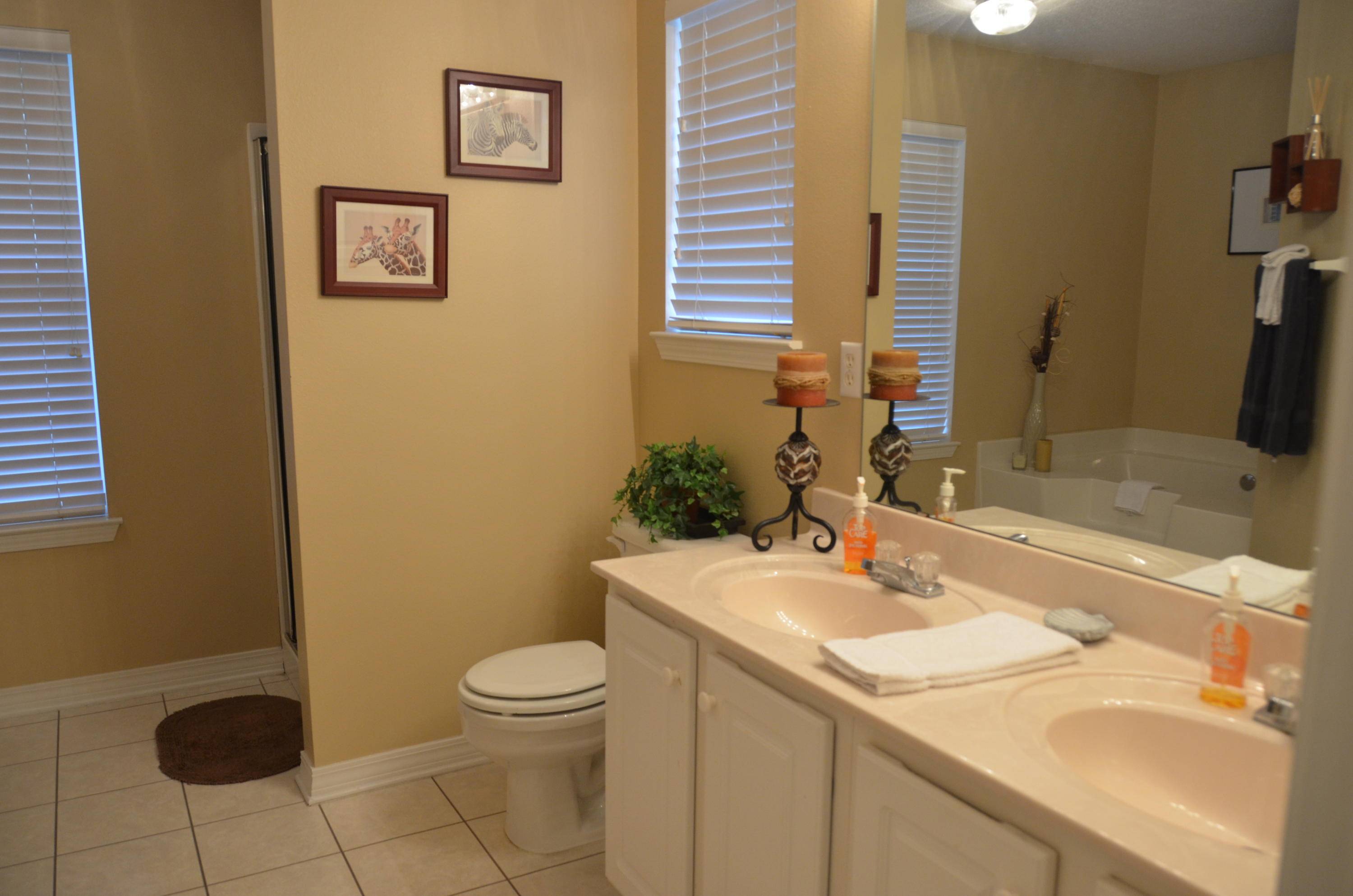 Miramar Beach, FL 32550,156 St Johns Court