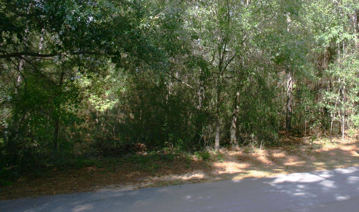 Crestview, FL 32539,00 Gavernie Court  #LOT 20