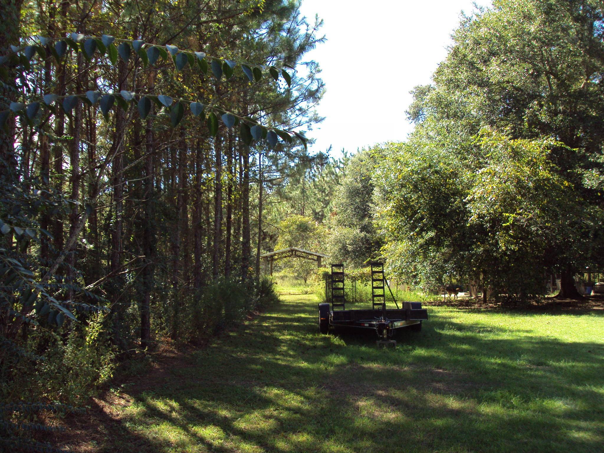 Baker, FL 32531,000 Reeves Road