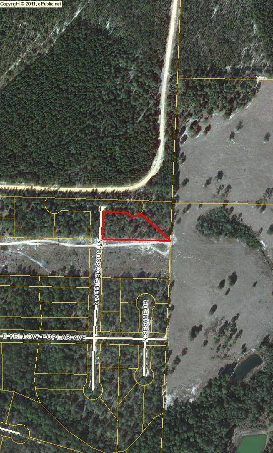 Defuniak Springs, FL 32433,L1BLK13 N APPLE BLOSSOM Lane