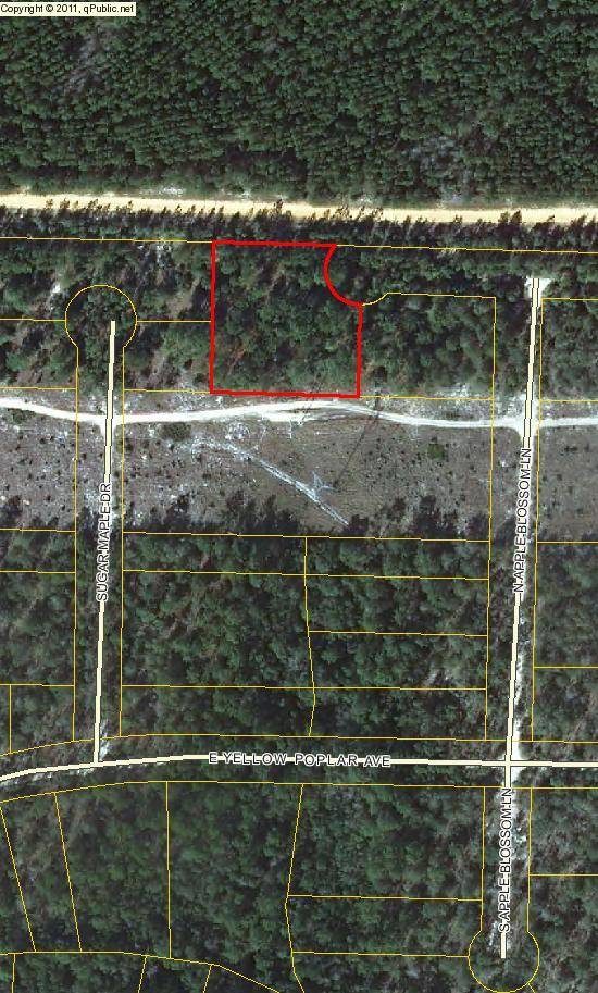 Defuniak Springs, FL 32433,L2BLK12 N APPLE BLOSSOM Lane