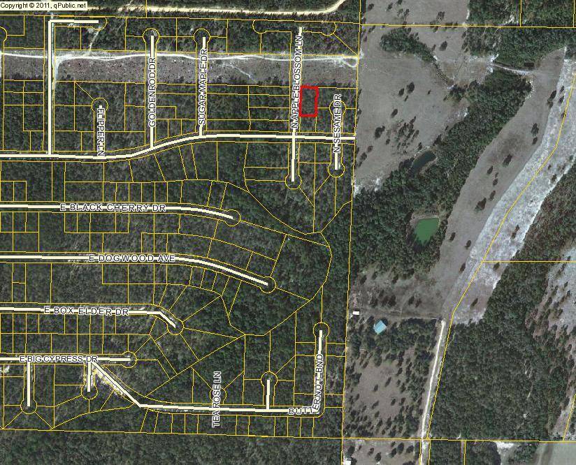 Defuniak Springs, FL 32433,L6 BLK27 N APPLE BLOSSOM Lane