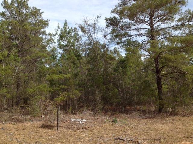 Defuniak Springs, FL 32433,.23ac E LaFavre Lane