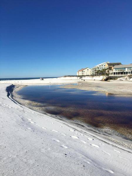 Santa Rosa Beach, FL 32459,70 TRAE Lane