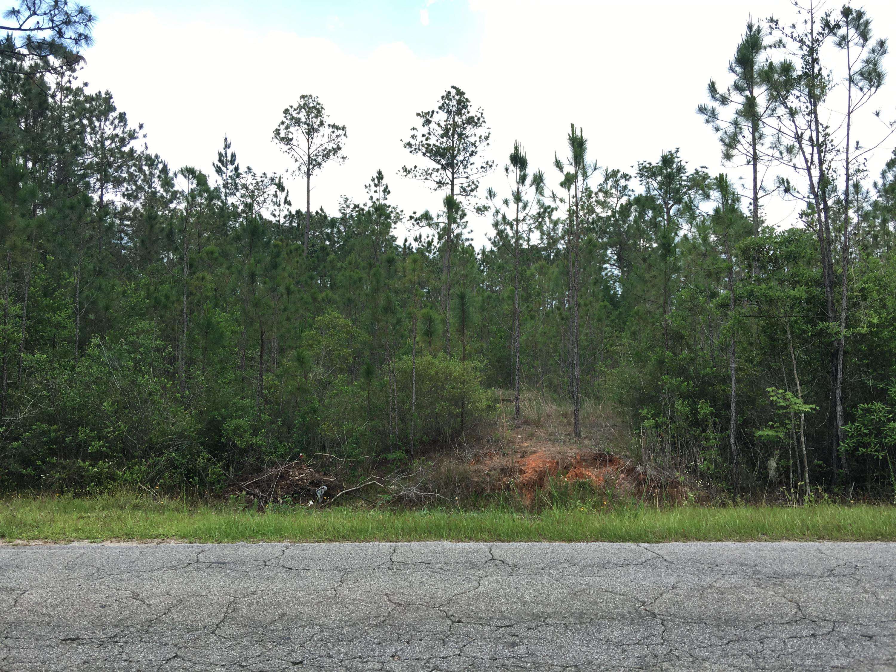 Milton, FL 32583,Lot 21/22 Del Monte Street