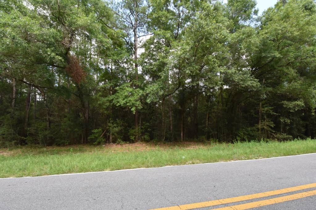 Baker, FL 32531,17.28 ac Old River Road