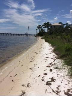 Pensacola, FL 32507,16147 TARPON Drive  #Lot 46