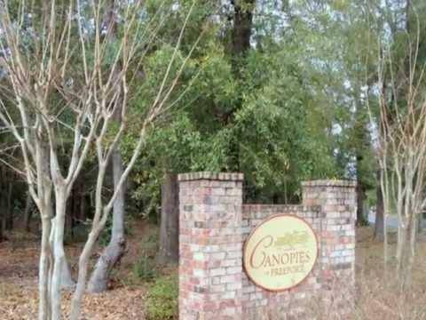 Freeport, FL 32439,LOT 63 BENTON Boulevard